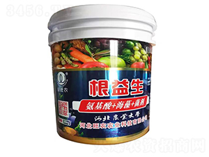 ++--r(nng)r(nng)I(y)