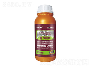 ̼Ҹ}V_ʩ-R-ְʘI(y)