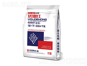 (yu)¼tֲˮܷ12-7-33+TE-R-ְʘI(y)