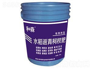 \}ˮ辷-ɭr(nng)I(y)