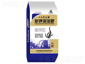 ̼⛺-A(chung)(lin)