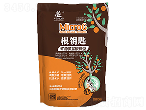 耳ףVԴSͣ-A(chung)(lin)