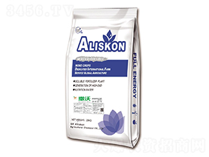 SIB(yng)B(ti)20-20-20+TE--{