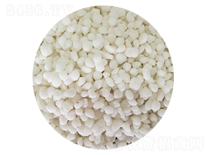 Ȼ@ɫ{(ln)ɫ-SƼ