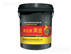 20kgVԴ۹Ȱᡤ~סзt-ڽ-