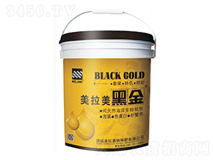 VԴ۹Ȱᡤ~סзt-ڽ-