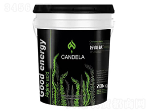 ךϑB(ti)ֲﵰנIB(yng)-_(d)-f_(d)