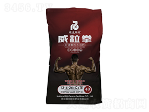 VԴwˮܷ13-4-26+C+TE-ȭ-˹