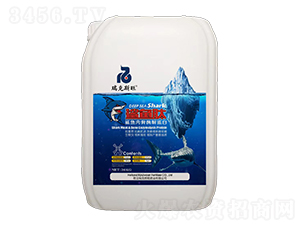 鯊魚(yú)肉骨酶解蛋白-鯊魚(yú)肽-瑞克斯旺