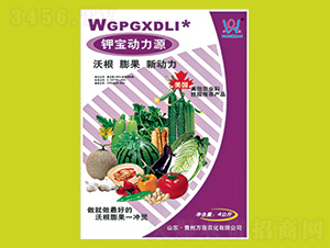 ⛌(dng)Դ-f(wn)Ȫr(nng)