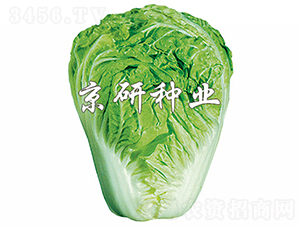 Сs60̖(ho)-ײ˷N-зNI(y)