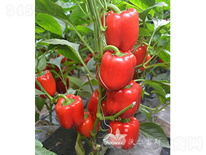 t_F1紺ӼԽ߮a(chn)tɫ𽷣-𽷷N-֠˹