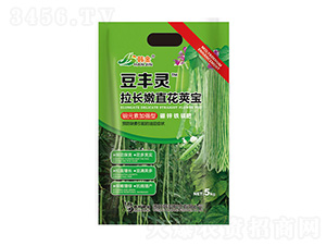 fԪؼӏLֱv-n-nʘI(y)