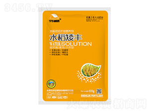 ˮ?fn)IB(yng)-ˮS-|ֲ-ʥʘI(y)