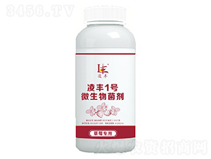 ݮ(zhun)΢ˮ-S1̖(ho)-|