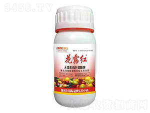 ¶to(w)D(zhun)ɫǄ-٤נ-_˼ķ