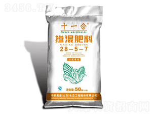 -ʮһ}(cng)-r(nng)ʢ