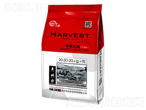 ЙCԪˮܷ20-20-20+g+TE-SrI(y)