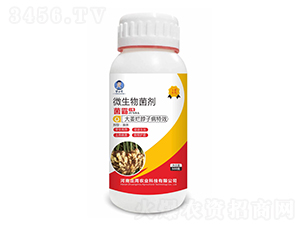 1̖(ho)΢-I(yng)С-fr(nng)I(y)