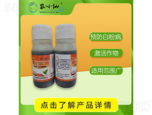 Pһ̖(ho)׷P-r(nng)С-f(wn)GԴ