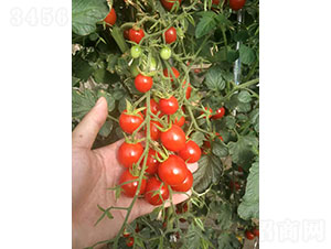 ᭇCT2001ҷѷN-Ar(nng)I(y)