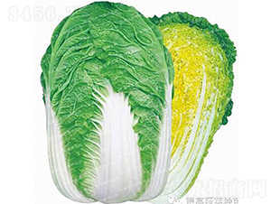 ͳ޷ײ-r(nng)27-ײ˷N-¸߷NI(y)