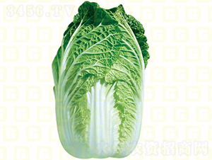 ײ-¸߸ɽ-ײ˷N-¸߷NI(y)