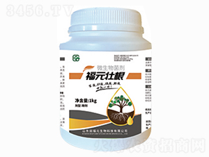 ԪѸ΢-ѸٸʸЧһw-︣Ԫ