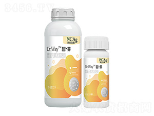 ΢Ԫˮܷ-ǡB(yng)-¼sr(nng)