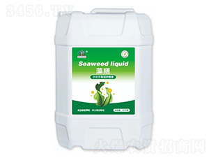 藻膳-墾丁農(nóng)業(yè)