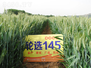 ݆x145-СN-ɽr(nng)N