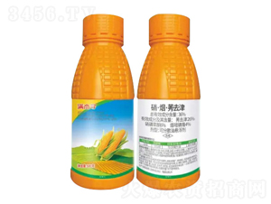 36%ݬȥɷɢ͑Ҹ-M܌-ZrI(y)