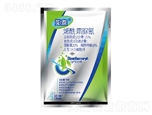 70%ϩ˪WG-[̩-һ[Ƽ