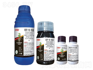 6%ס׾N̎ҸFS-f_-лƌW(xu)