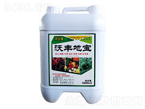 S،(f)΢-S¡-(qing)