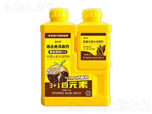 j(lu)ϑҸ}+F\τ-΄P-Ą(chung)ţ