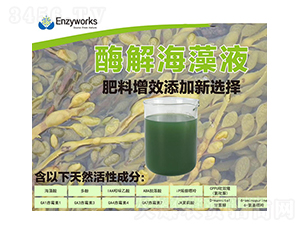 酶解海藻液-中肽生物