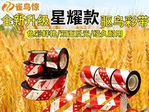 ����(j��)��ζ�(q��)�B����ʎ�-ȸ�B�@-�������