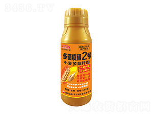 СY2̖(ho)-r(nng)