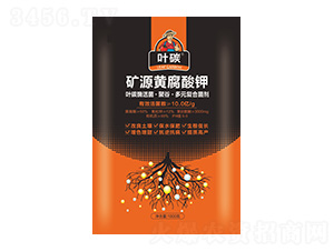 VԴS-~̼-Ar(nng)I(y)