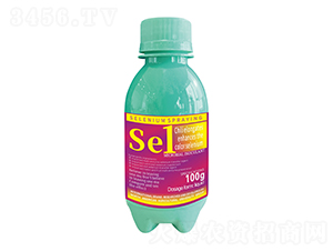 100gLɫ1̖(ho)-r(nng)