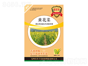 Só݄-S(l)-瘷(l)r(nng)I(y)