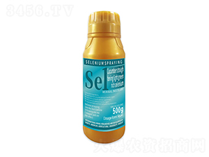 500gSֱG-1̖(ho)-r(nng)