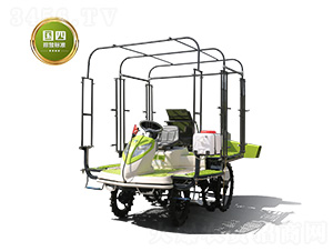 2ZPY-13AC-(lin)rI(y)