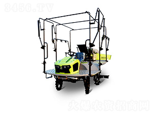 2ZPY-13GC-(lin)rI(y)