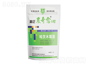 ľù-r(nng)5̖-r(nng)