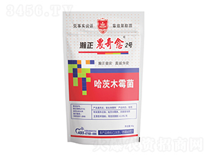 ľù-r(nng)2̖-r(nng)