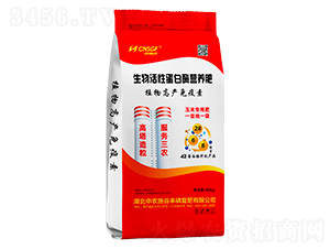 ԵøIB(yng)ʣ40kg-r(nng)ʩS