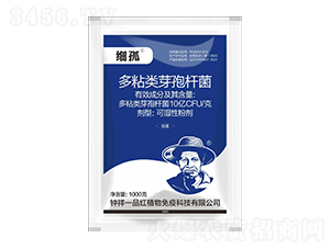 ճ(li)ѿߗU-(x)-һƷt