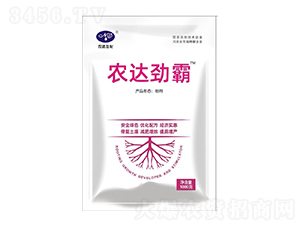 r(nng)_(d)Ű-r(nng)_(d)